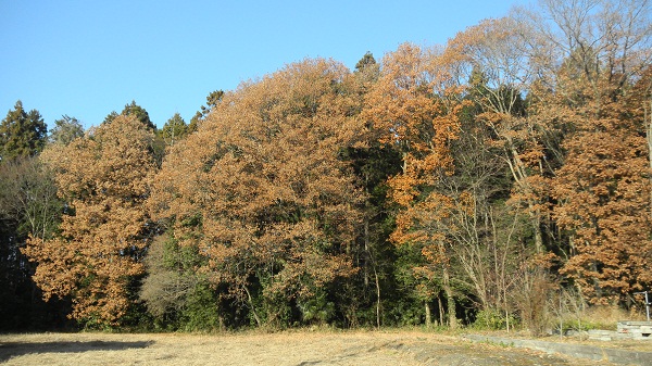 上棟式　宇都宮市