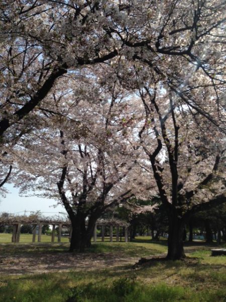 □□　Ｏ様邸　地鎮祭　in 太田市　□□