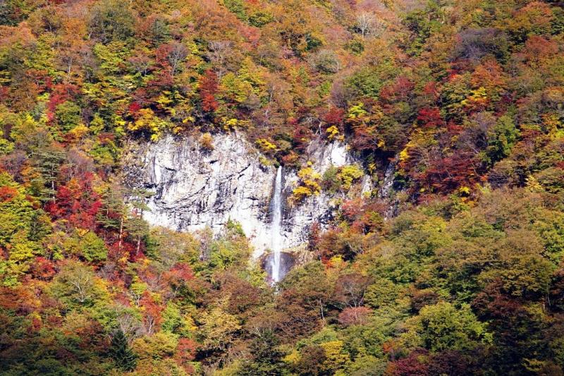 〈自己紹介〉これからよろしくお願い致します。