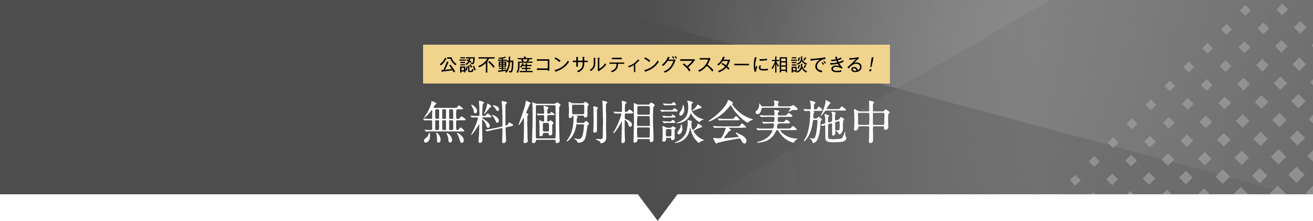 無料個別相談会実施中
